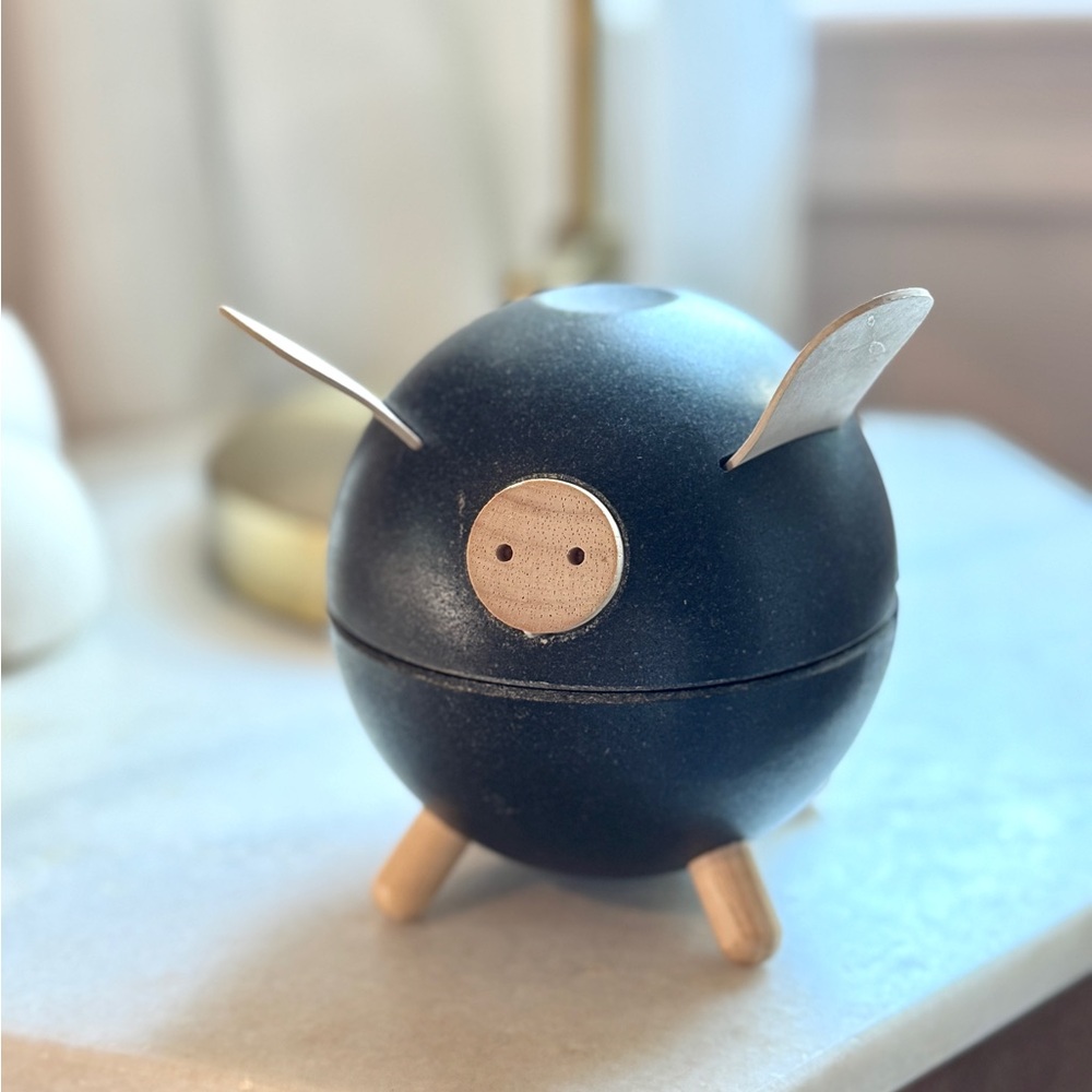 PlanToys Modern Piggy Bank